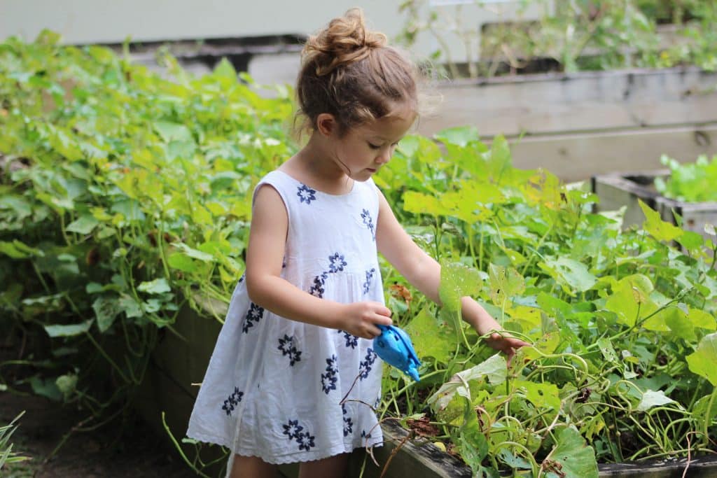 How to Start a Family Garden - Cameron Hospital